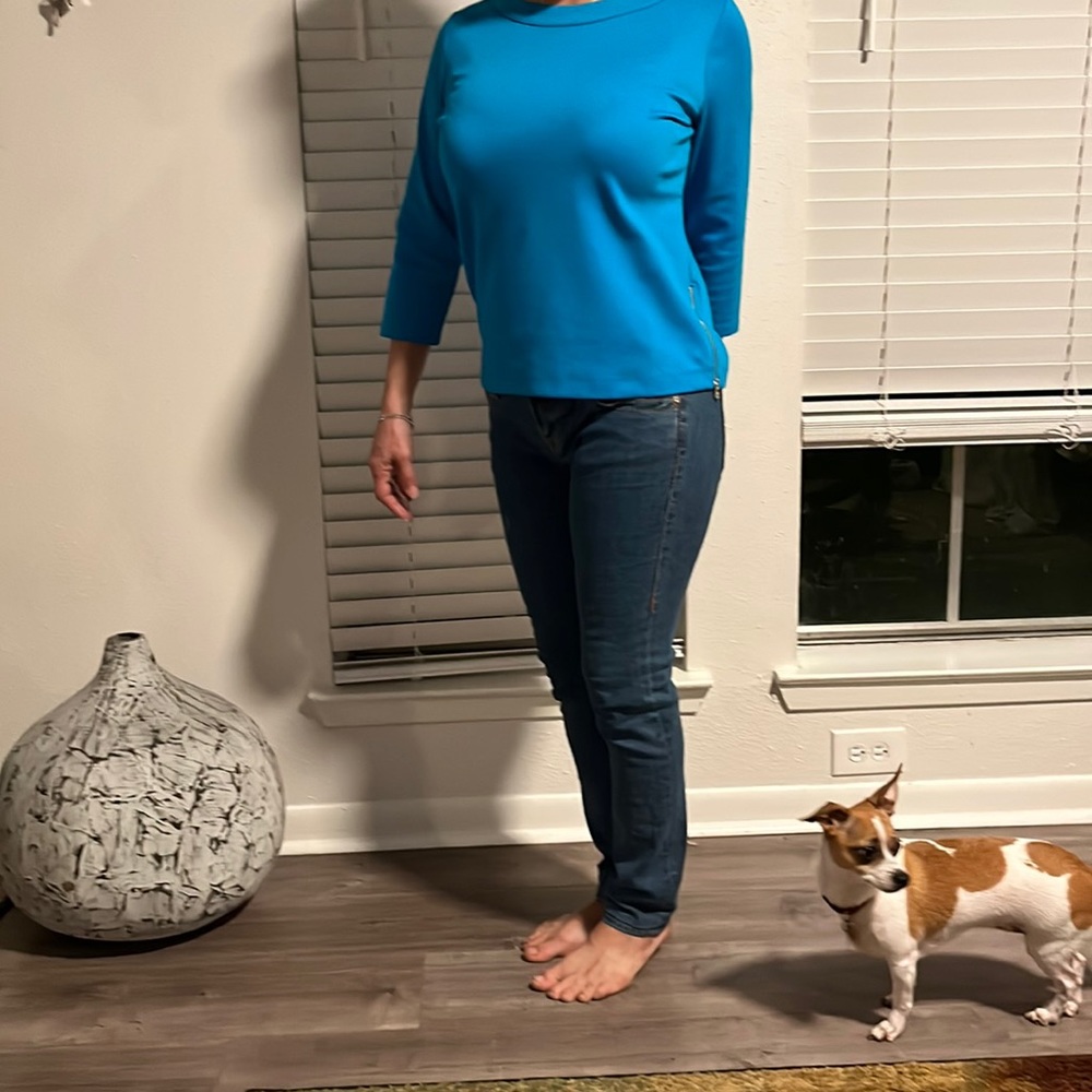 Ann Taylor Petite